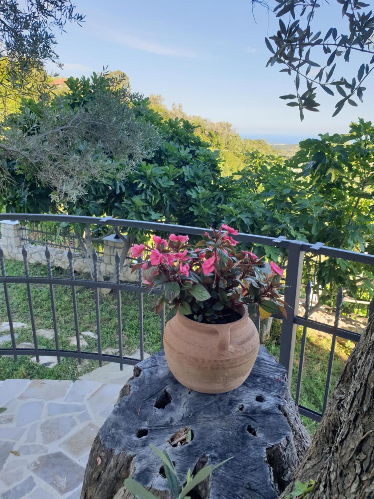 Rustic Villas Barlovic Ulcinj Exterior foto